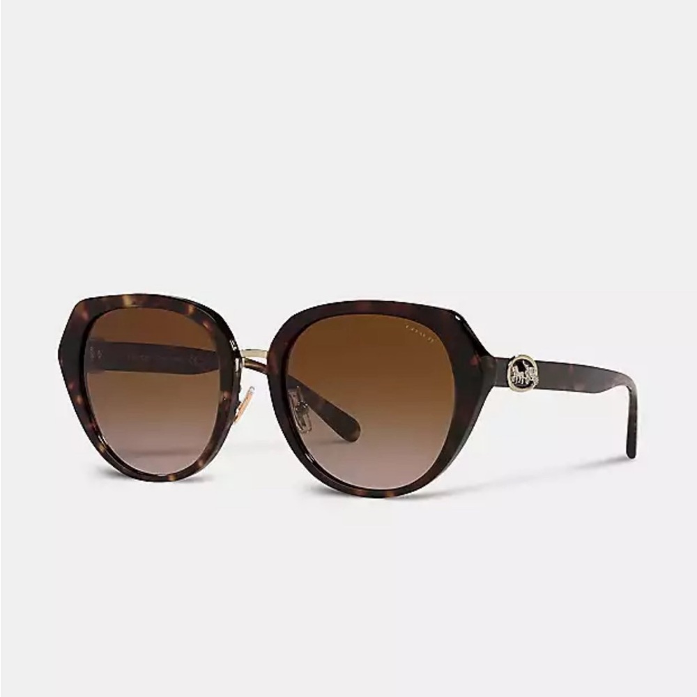 Coach Horse And Carriage Oversized Round Sunglasses!!
